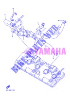 ASPIRAZIONE per Yamaha FZ8NA 2013