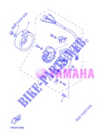 ACCENSIONE per Yamaha EW50N 2013
