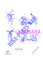 STICKER per Yamaha EW50N 2013