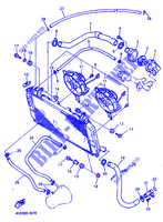 RADIATORE ACQUA / TUBO per Yamaha YZF750R 1994