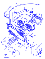 RADIATORE ACQUA / TUBO per Yamaha YZF750SP 1993