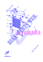 RADIATORE ACQUA / TUBO per Yamaha YQ50 2005