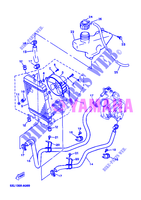 RADIATORE ACQUA / TUBO per Yamaha YP125E 2005