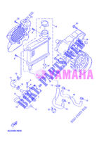 RADIATORE ACQUA / TUBO per Yamaha MBK OVETTO 50 4 TEMPS 2012