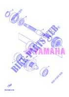 TRASMISSIONE per Yamaha MBK OVETTO 50 4 TEMPS 2012