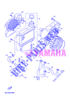 RADIATORE ACQUA / TUBO per Yamaha YQ50 2012