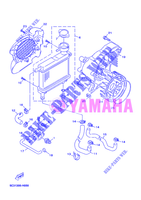 RADIATORE ACQUA / TUBO per Yamaha YN50FU 2012