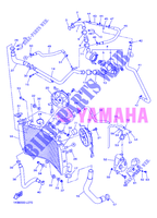 RADIATORE ACQUA / TUBO per Yamaha YZF-R1 2012