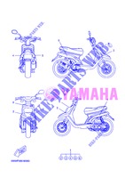 STICKER per Yamaha CW50 2013
