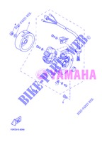 ACCENSIONE per Yamaha CW50 2013