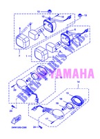 FRECCIA LAMPEGGIATORE per Yamaha CW50 2013
