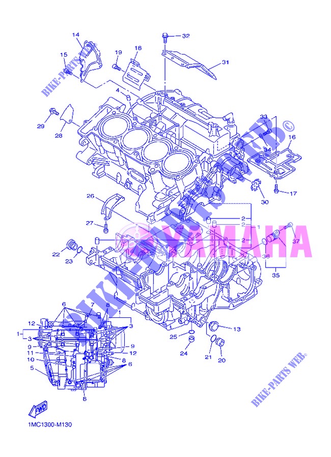 CARTER MOTORE per Yamaha FJR1300A 2013