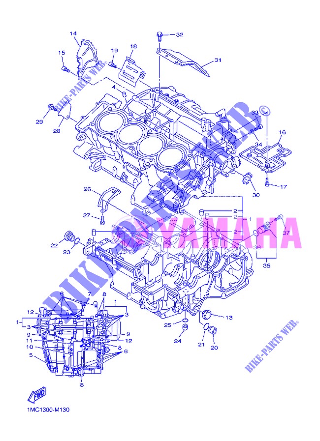 CARTER MOTORE per Yamaha FJR1300A 2013