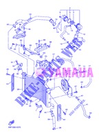 RADIATORE ACQUA / TUBO per Yamaha FZ8N 2013