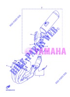 SCARICO per Yamaha FZ8N 2013