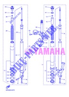 FORCELLA ANTERIORE per Yamaha FZ8N 2013