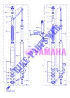 FORCELLA ANTERIORE per Yamaha FZ8N 2013