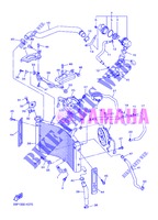 RADIATORE ACQUA / TUBO per Yamaha FZ8N 2013