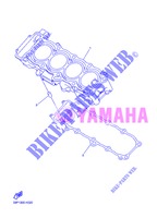 CILINDRO per Yamaha FZ8NA 2013