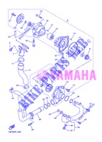 POMPA ACQUA / TUBO per Yamaha FZ8NA 2013