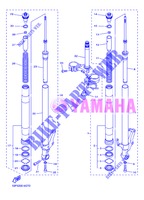 FORCELLA ANTERIORE per Yamaha FZ8NA 2013
