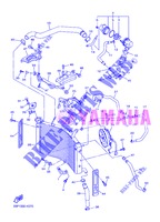 RADIATORE ACQUA / TUBO per Yamaha FZ8NA 2013