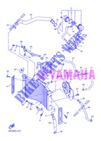 RADIATORE ACQUA / TUBO per Yamaha FZ8S 2013