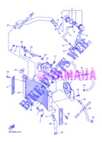RADIATORE ACQUA / TUBO per Yamaha FZ8S 2013