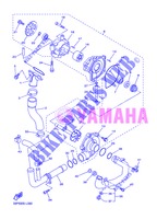 POMPA ACQUA / TUBO per Yamaha FZ8S 2013