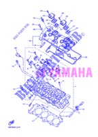 TESTA CILINDRO per Yamaha FZ8SA 2013