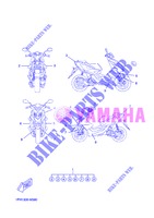 STICKER per Yamaha NS50 2013