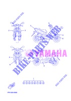 STICKER per Yamaha NS50 2013