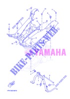 SOPORTE / PEDANA per Yamaha NS50 2013