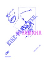 ACCENSIONE per Yamaha NS50 2013