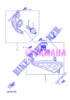 FRECCIA LAMPEGGIATORE per Yamaha VP250 2013