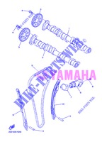 ALBERO A CAMME / CATENA per Yamaha XJ6N 2013