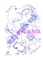 RADIATORE ACQUA / TUBO per Yamaha XP500 2013