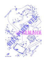 RADIATORE ACQUA / TUBO per Yamaha XP500 2013