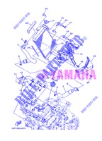 RADIATORE ACQUA / TUBO per Yamaha XT1200Z 2013