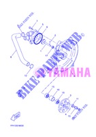 POMPA ACQUA / TUBO per Yamaha NS50N 2013