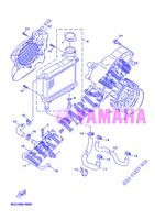 RADIATORE ACQUA / TUBO per Yamaha YN50F 2013