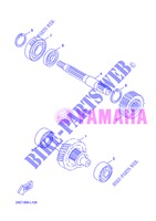 TRASMISSIONE per Yamaha YN50FU 2013