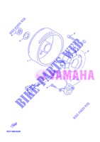 ACCENSIONE per Yamaha YN50FU 2013
