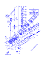 CARTER INFERIORE E TRASMISSIONE 1 per Yamaha E60H Enduro, Manual Starter, Tiller Handle, Hydro Trim & Tilt, Pre-Mixing, Shaft 20