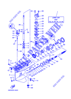 CARTER INFERIORE E TRASMISSIONE 1 per Yamaha E60H Enduro, Manual Starter, Tiller Handle, Hydro Trim & Tilt, Pre-Mixing, Shaft 20