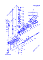 CARTER INFERIORE E TRASMISSIONE 2 per Yamaha E60H Enduro, Manual Starter, Tiller Handle, Hydro Trim & Tilt, Pre-Mixing, Shaft 20