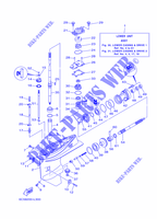 CARTER INFERIORE E TRASMISSIONE 1 per Yamaha F50H Electric Start, Remote Control, Hydro Trim & Tilt, Shaft 20