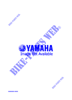 ALTERNATIVA MOTORE  per Yamaha PHAZER MOUNTAIN LITE 1998