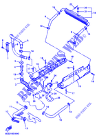 RADIATORE ACQUA / TUBO per Yamaha SXR600 2001