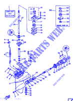 COPERCHIO E TRASMISSIONE DELL'ELICA 1 per Yamaha F8B 4 Stroke, Manual Start 1987